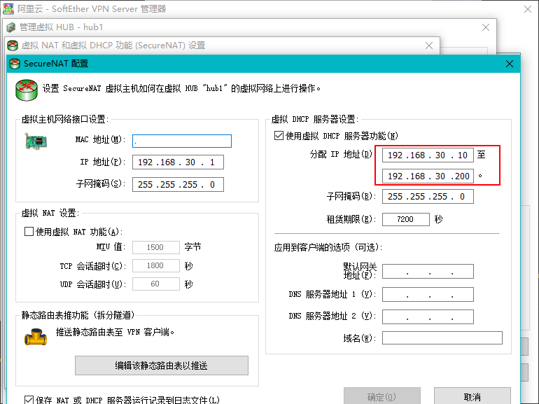 SoftEther分配的IP段