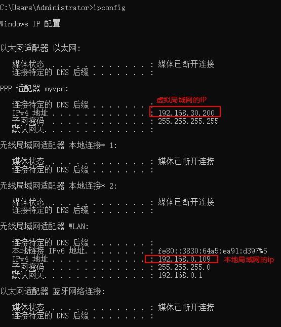 虚拟局域网IP